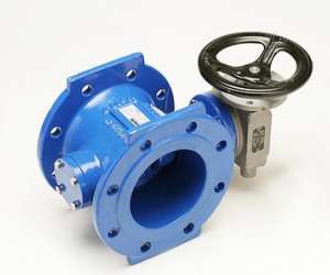 Prirubničke leptirice